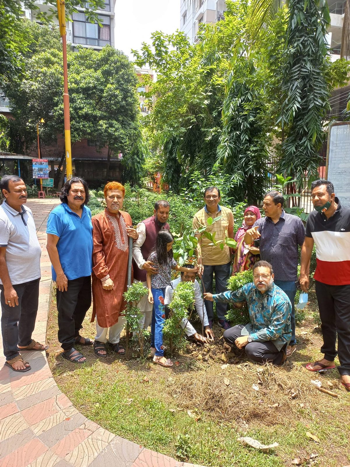 Tree plantation activity